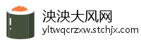 泱泱大风网